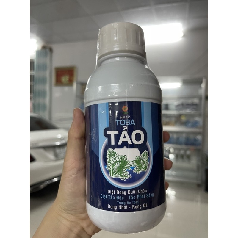 TẢO- DRT-TOBA-Diệt tảo-Diệt rong đuôi chồn- rong nhớt-rong đá