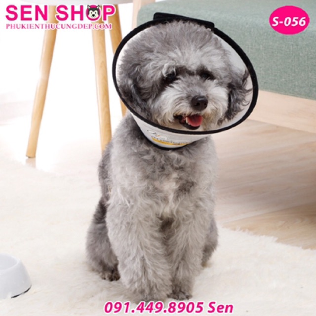 Vòng chống liếm cho chó mèo