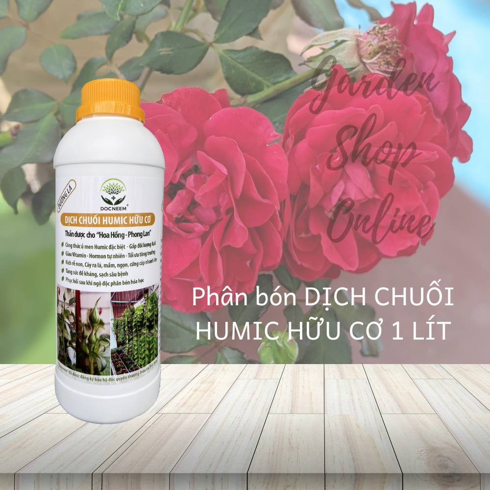 Phân bón cho hoa hồng Dịch chuối - Kích hoa - Đậu tương