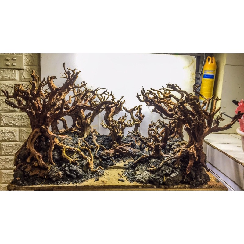 Lũa Kim Sa Tùng.trang trí bể cá 1kg