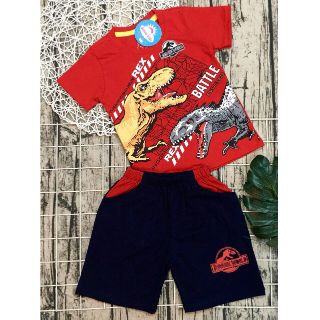 Bộ cotton khủng long bé trai