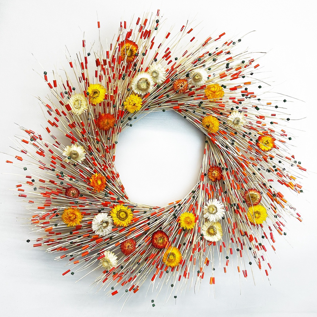 Sỉ cúc Bất tử khô, mix màu