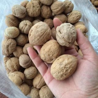 Cobo 5kg óc chó