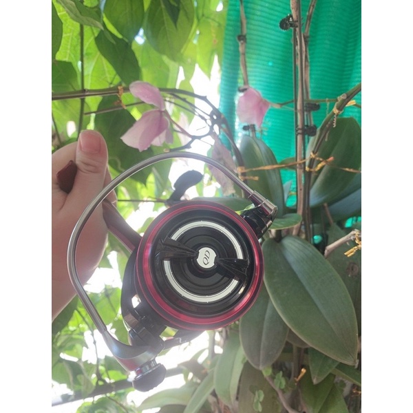 Máy câu chính hãng Daiwa Emblem Surf 35 3 cối