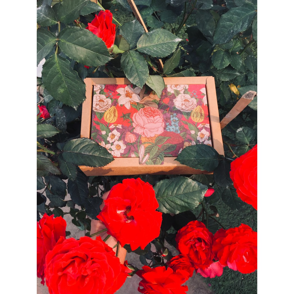 Quà tặng mẹ Cổ Dược Gia Truyền KỲ HOA (Since 1918)_Trao yêu thương dịu dàng_đong đầy hạnh phúc 2021 | BigBuy360 - bigbuy360.vn