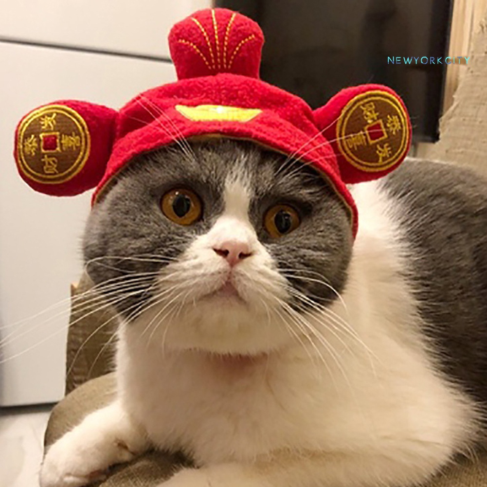 Mũ Đội Đầu Bằng Vải Bông Dành Cho Thú Cưng