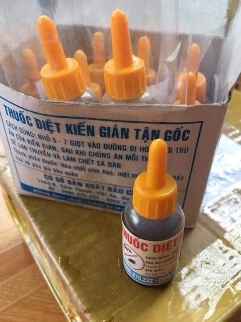 Diệt gián tận gốc