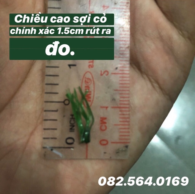 Thảm cỏ nhân tạo ( Hàng đẹp chuẩn 1.5cm )