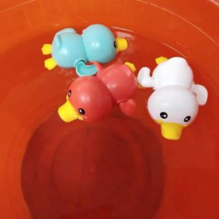 Vịt con vặn cót bơi