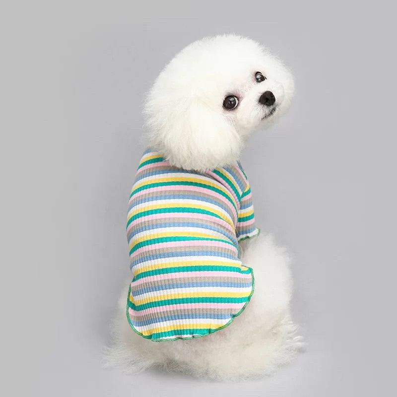 Áo len tăm nhiều màu cổ 2cm cho chó mèo