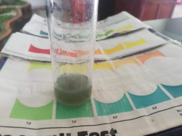 MÁY ĐO pH AD11 nhập khẩu Rumania