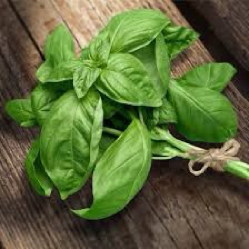 Lá Quế Tây / Basil 100G