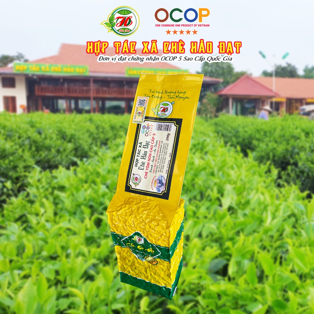 Chè Tôm Nõn Cao Cấp 3 - Hợp Tác Xã Chè Hảo Đạt - Chè Tân Cương Thái Nguyên