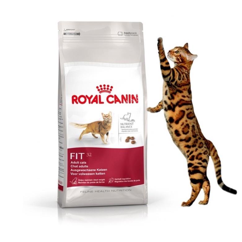 Royal canin Fit 32 🔥Ship Hoả Tốc🚀Nhận Ngay Tại Hà Nội🔥