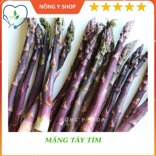 Túi zip 3 hạt trồng thử Hạt Giống Măng Tây Tím Rạng Đông RADO 682