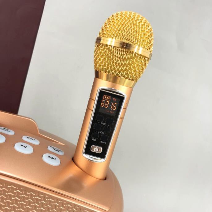 Loa Karaoke SDRD SD 306 Plus Kèm 2 Micro Không dây Có Màn Hình Mới 2021