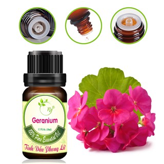 Tinh Dầu Phong Lữ nguyên chất Như Ý