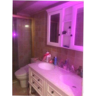 Đèn Led màu quay tiktok decor trang tri nhà cửa-Đèn led tiktok triệu view màu hồng tím tặng kèm đui cắm e27 có videoclip