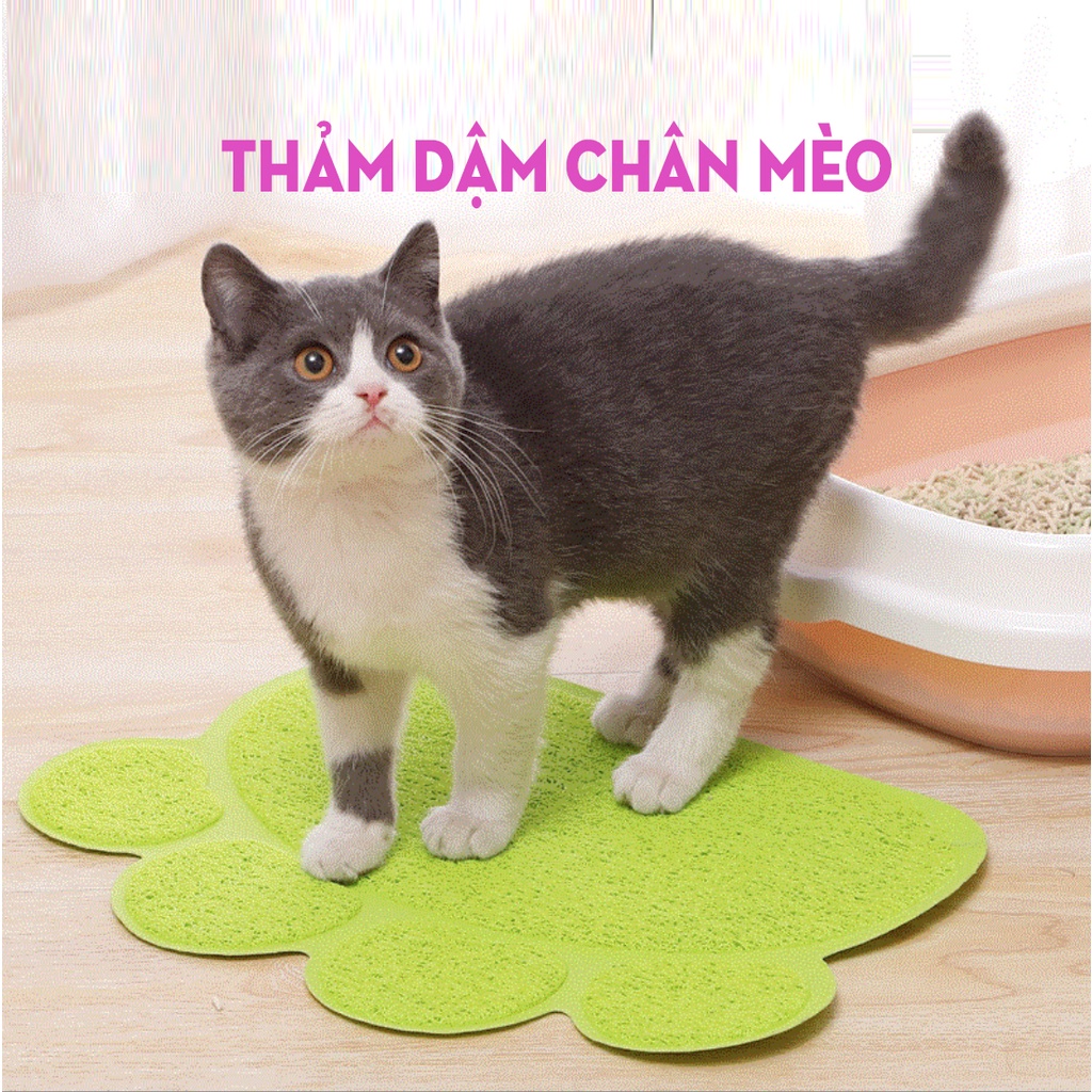 Thảm dậm chân cho mèo - chống rơi cát và hạt
