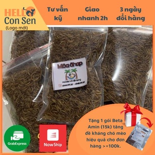 [QUẬN 2 SHIP NOW] Sâu gạo rang