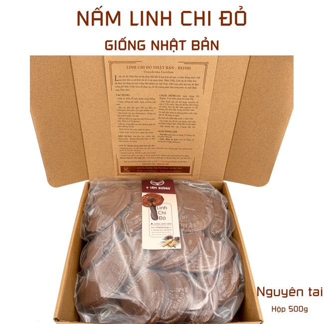 Nấm linh chi đỏ Nhật Bản thượng hạng - thái lát