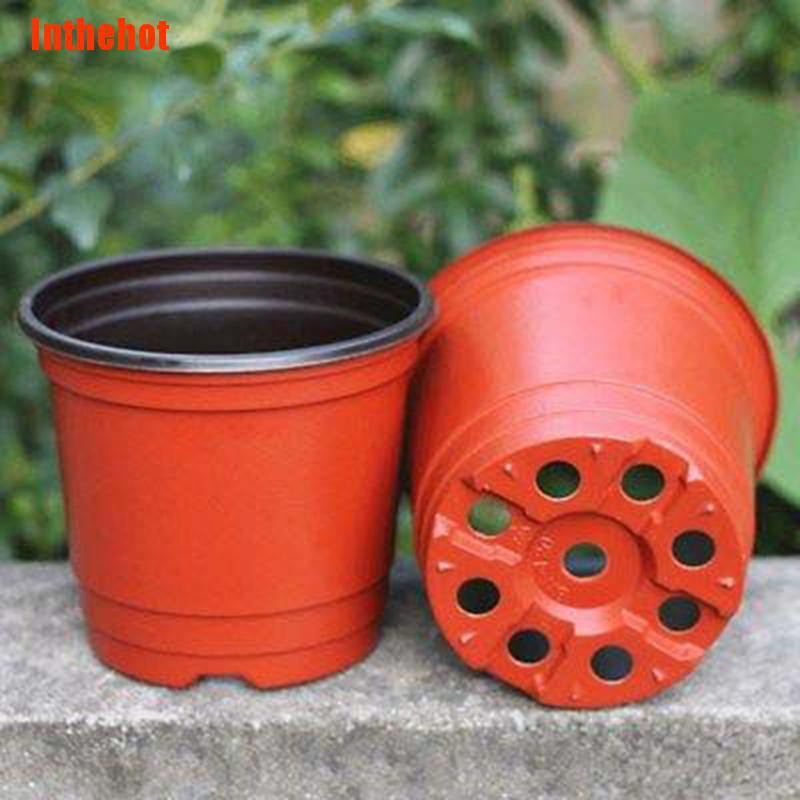 Bộ 100 Chậu Nhựa Trồng Cây Chuyên Dùng