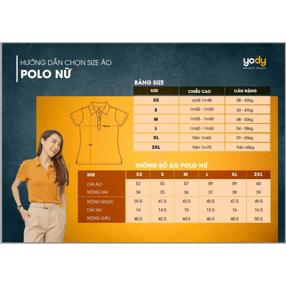 Áo polo airmax nữ thương hiệu Yody mềm mịn thoáng mát thấm hút tốt  APN4146