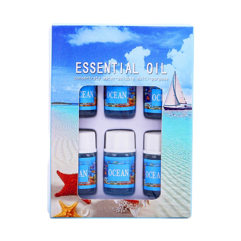 (Hàng Mới Về) Set 6 Lọ Tinh Dầu Làm Ẩm Không Khí 3ml | BigBuy360 - bigbuy360.vn