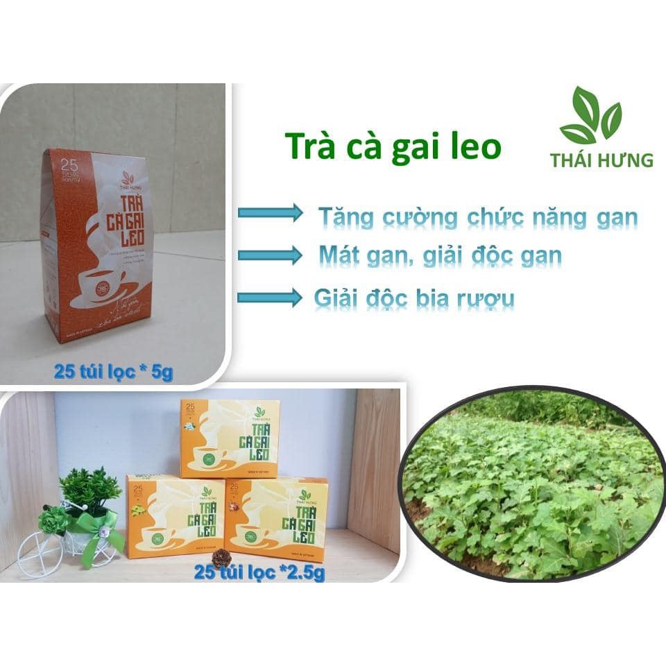 Giải độc cơ thể cùng trà thảo dược - MUA 10 TẶNG 1