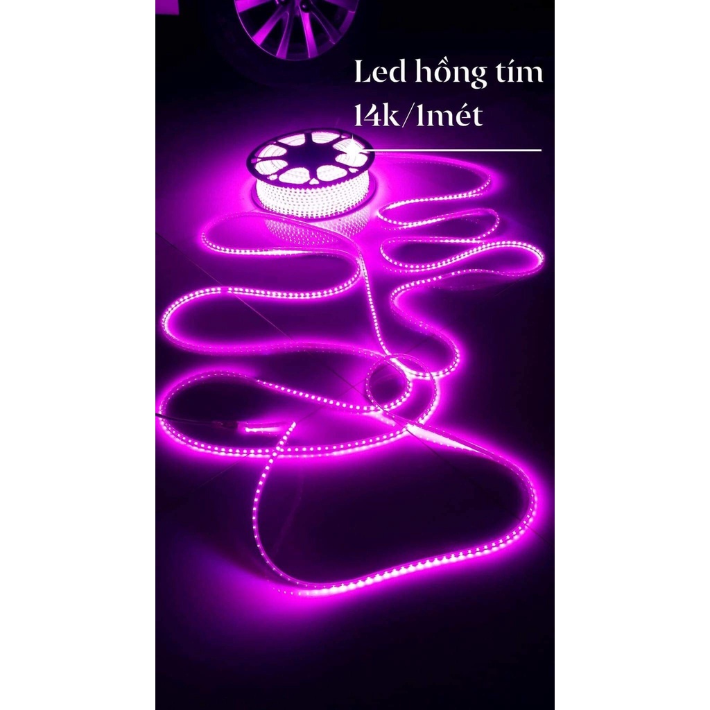 Giá SỉDây Led Hắt Trần Thạch Cao 1 Hàng, Led Dây 1 Mắt Ip66 Chống Nước sử dụng nguồn 220V (Giá bán theo mét)