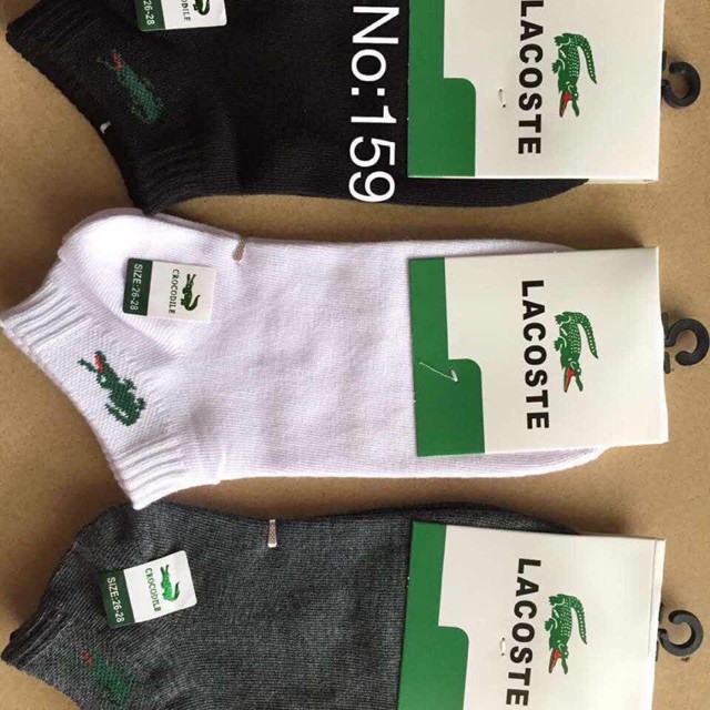 Tất cổ ngắn nam nữ cotton họa tiết cá sấu lacoste chống hôi TN99A