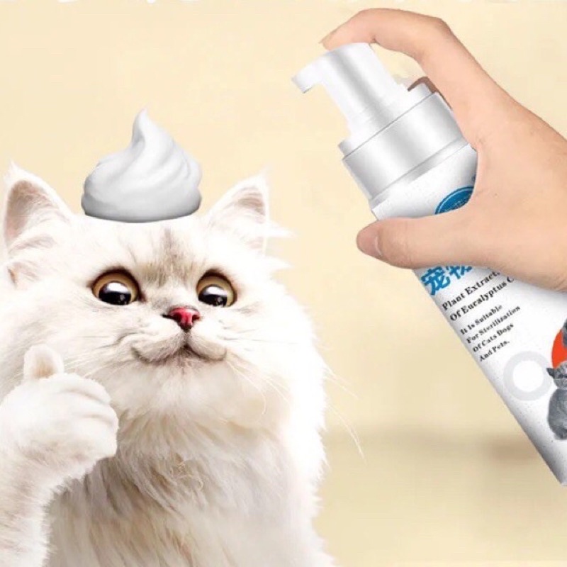 [mua 2 tặng găng tay tắm] bình xịt bọt tắm khô cho chó mèo, lọ tạo bọt tắm khô an toàn cho thú cưng