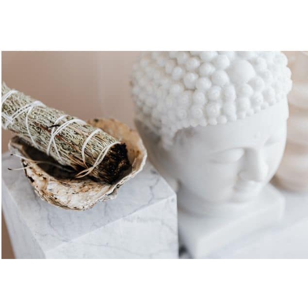 Bó xô thơm trắng white sage size lớn giá siêu tốt