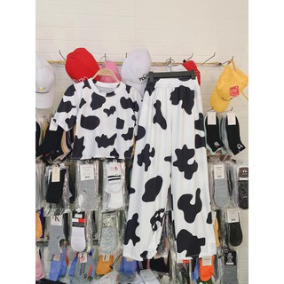 Set Croptop Bò Sữa Quần Chốt Gấu Chất Đẹp