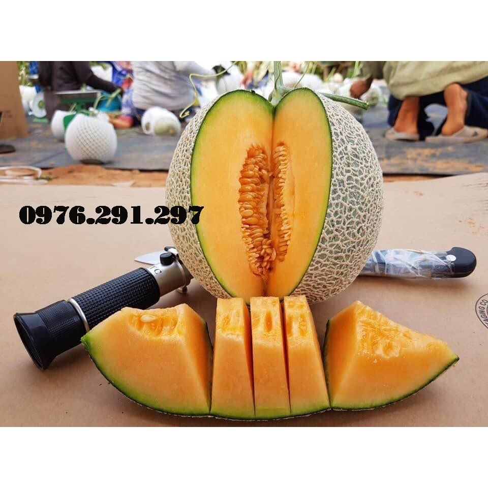 Khúc xạ kế đo ngọt trái cây và độ cồn của rượu