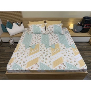 ga gối cotton poly chun trần bông