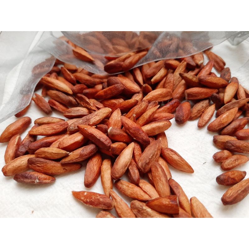 Hạt Bàng Sấy Khô