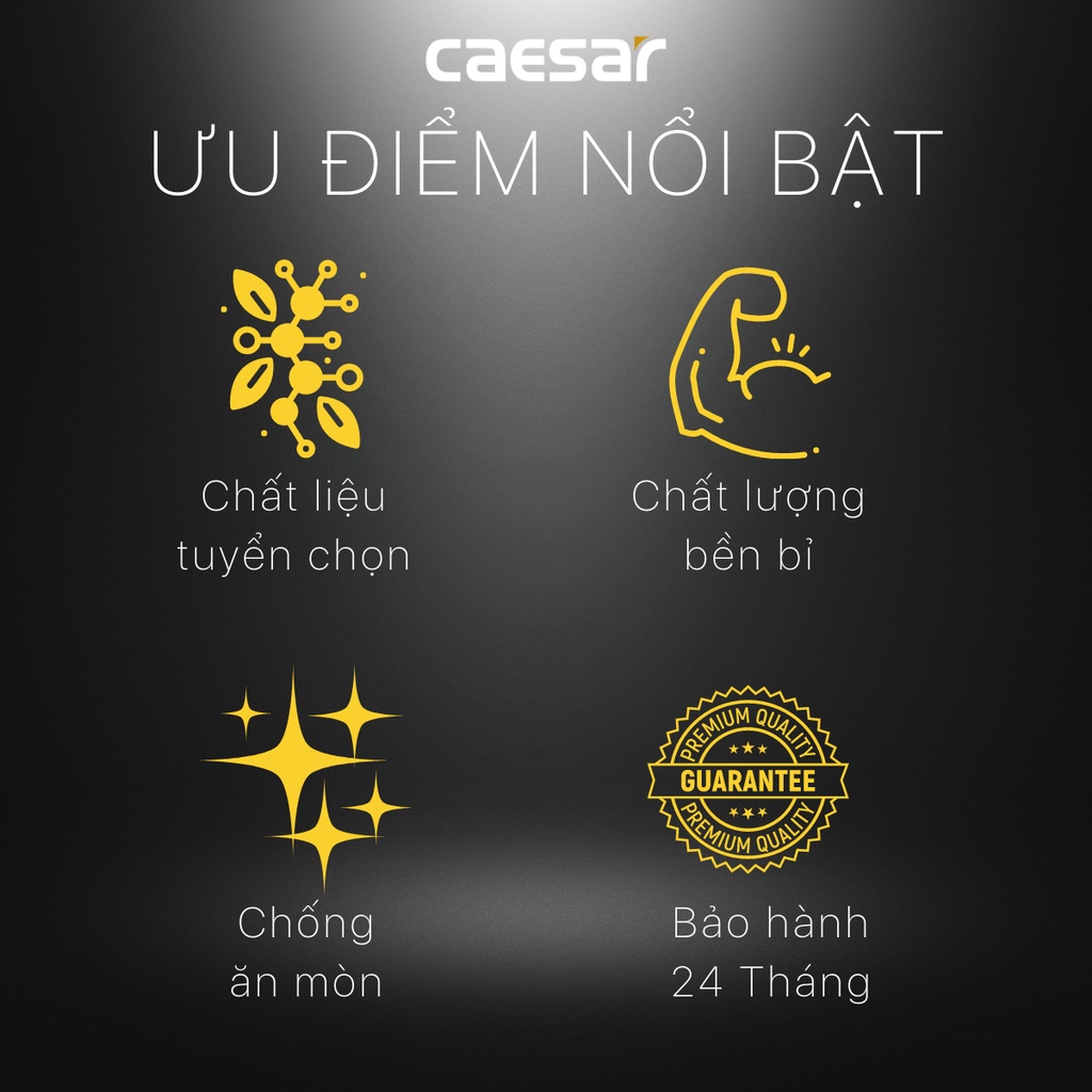 Bộ Xả Ty  Lavabô  - BF606 CAESAR