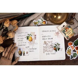 Bộ 45 Sticker Hàn Quốc hình Quả dán trang trí E20