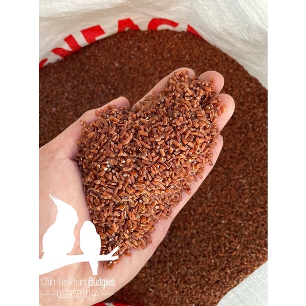 1kg gạo đỏ bể (tấm bể)
