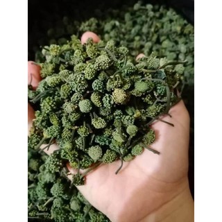 Nụ non bao tử Tam thất 500gr