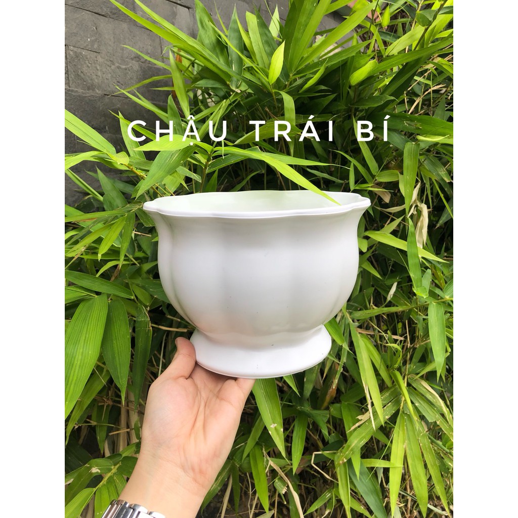 Chậu nhựa trái bí 310