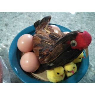 Bộ ga ấp trứng - đồ dùng mầm non