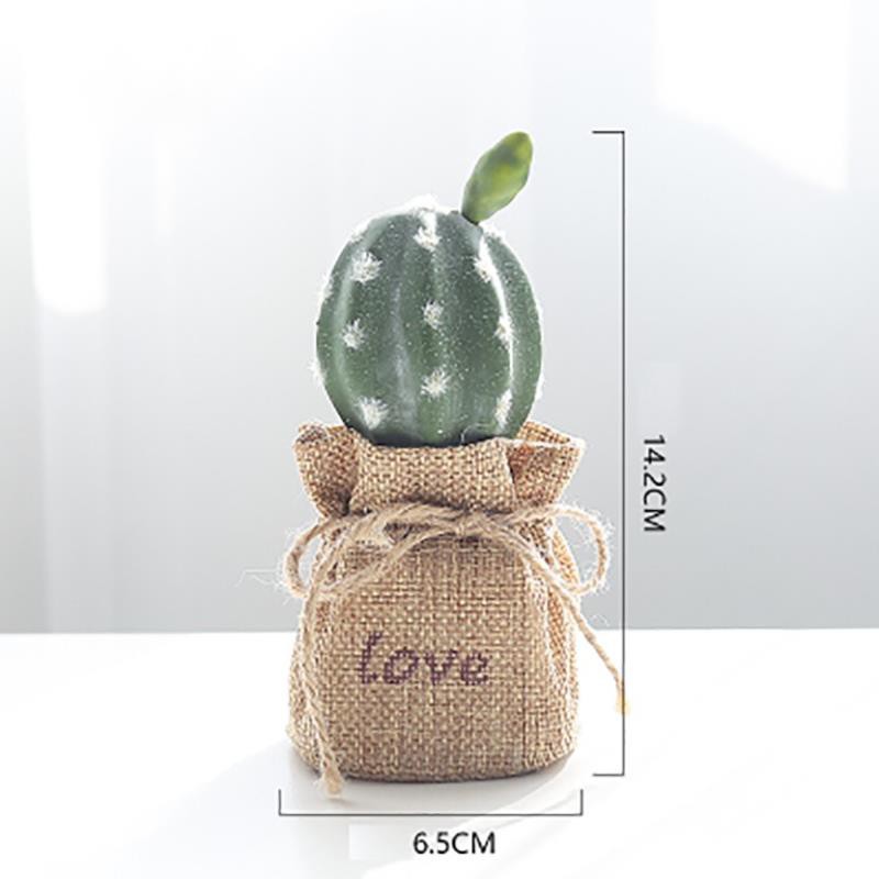 🔥𝐇𝐎𝐓 𝐃𝐄𝐀𝐋🔥Xương Rồng Decor Trang Trí Bàn Học MQ-021