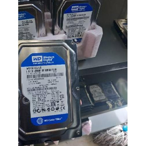 Ổ Cứng Ngoài 160gb Wd Sata Pc | BigBuy360 - bigbuy360.vn