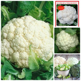 Hạt Giống Súp Lơ Trắng Bông Cải Trắng 0,2 Gr (TẶNG gói kích thích hạt nảy mầm)