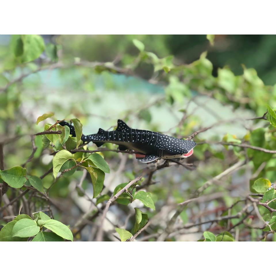 Mô hình Cá mập voi Ania