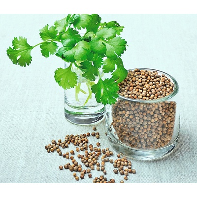 NƯỚC MÙI GIÀ (CORIENDER HYDROSOL)