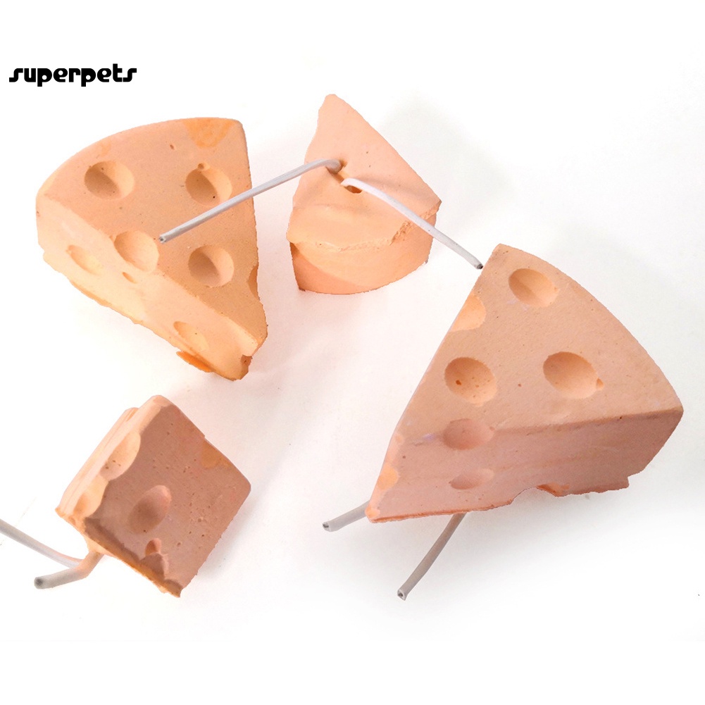 Đá mài răng hình phô mai/thỏ/chuột hamster