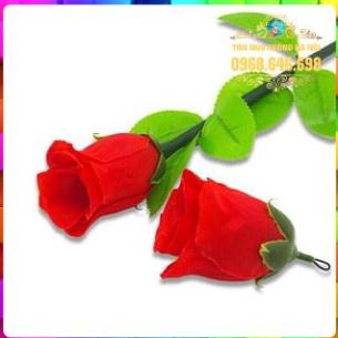 ẢO THUẬT HOA HỒNG HỒI SINH HÀNG CÓ SẴN